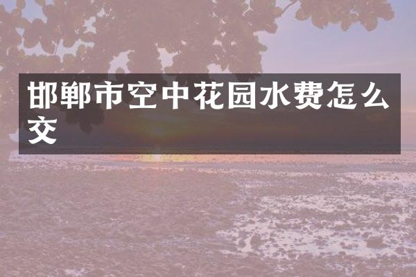 邯郸市空中花园水费怎么交