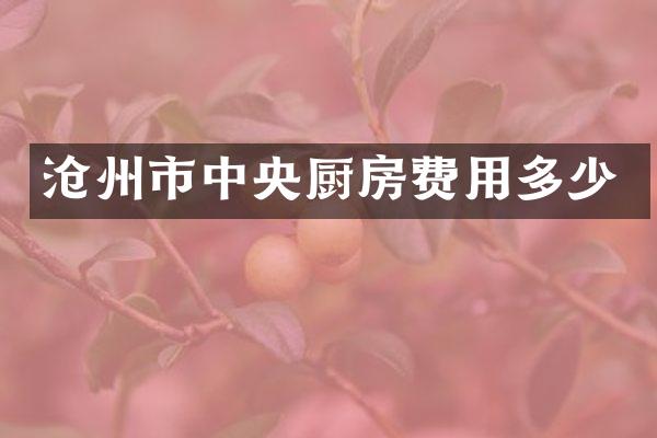 沧州市中央厨房费用多少