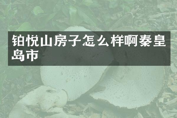 铂悦山房子怎么样啊秦皇岛市