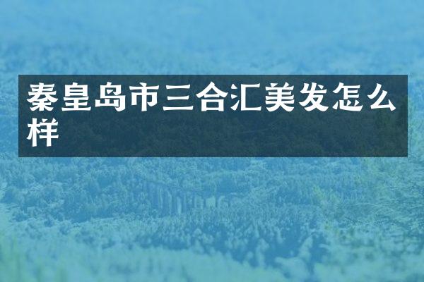 秦皇岛市三合汇美发怎么样