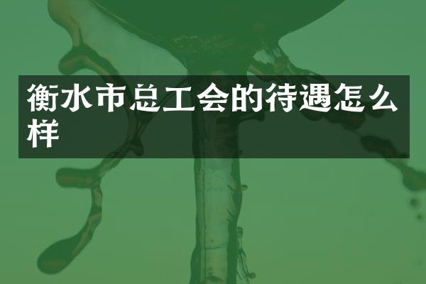 衡水市总工会的待遇怎么样