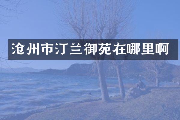 沧州市汀兰御苑在哪里啊