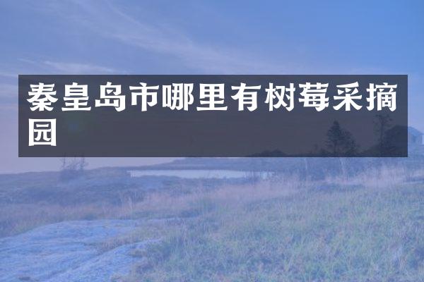 秦皇岛市哪里有树莓采摘园