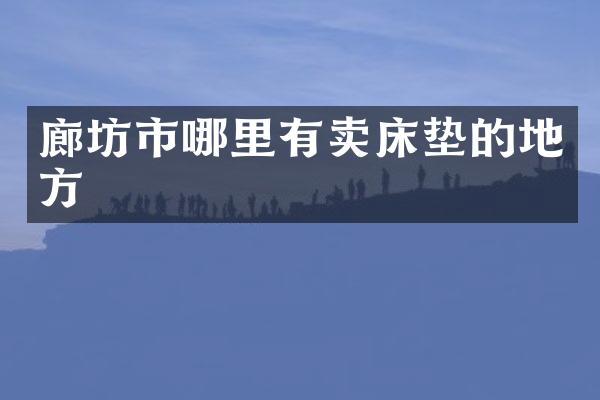 廊坊市哪里有卖床垫的地方