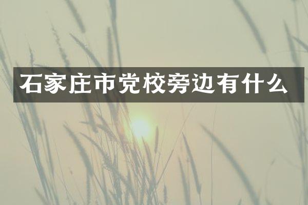 石家庄市党校旁边有什么