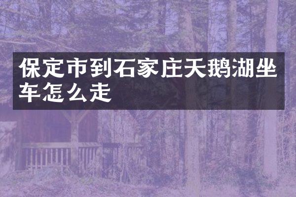保定市到石家庄天鹅湖坐车怎么走