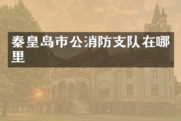 秦皇岛市公消防支队在哪里