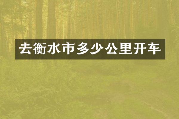 去衡水市多少公里开车