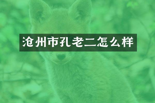 沧州市孔老二怎么样