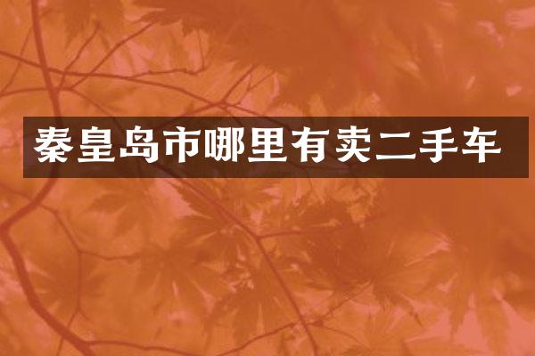 秦皇岛市哪里有卖二手车