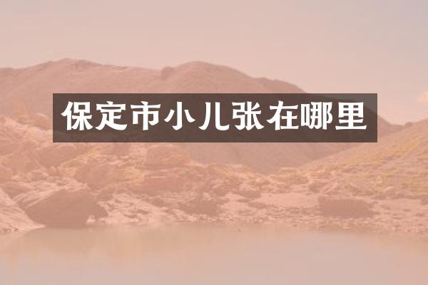 保定市小儿张在哪里