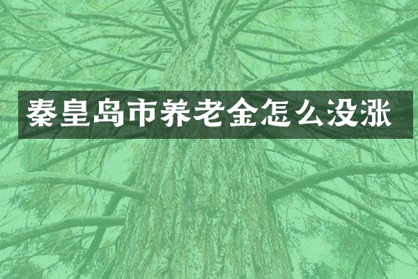 秦皇岛市养老金怎么没涨