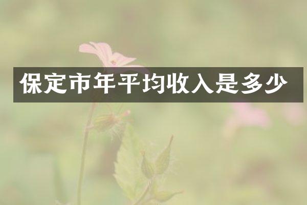 保定市年平均收入是多少