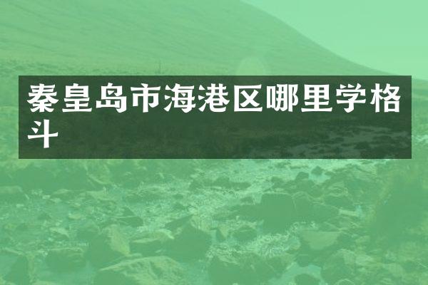 秦皇岛市海港区哪里学格斗