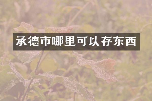 承德市哪里可以存东西