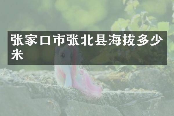 张家口市张北县海拔多少米