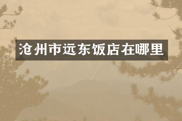 沧州市远东饭店在哪里