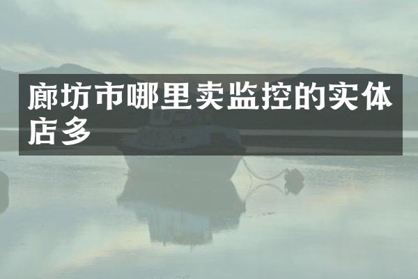 廊坊市哪里卖监控的实体店多