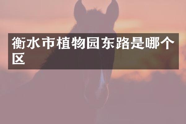 衡水市植物园东路是哪个区