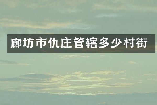 廊坊市仇庄管辖多少村街