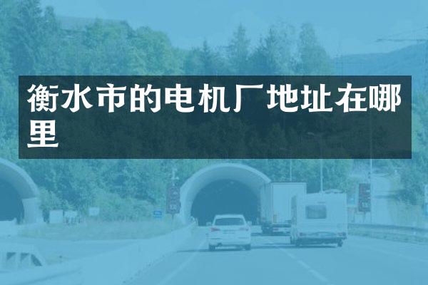 衡水市的电机厂地址在哪里