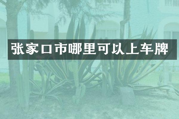 张家口市哪里可以上车牌