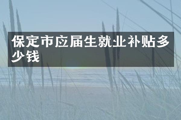 保定市应届生就业补贴多少钱