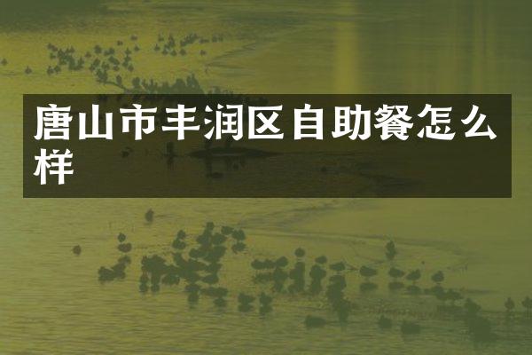唐山市丰润区自助餐怎么样