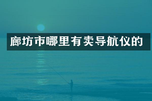 廊坊市哪里有卖导航仪的