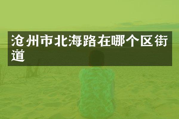 沧州市北海路在哪个区街道