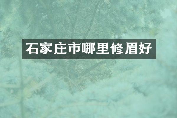 石家庄市哪里修眉好