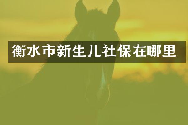 衡水市新生儿社保在哪里