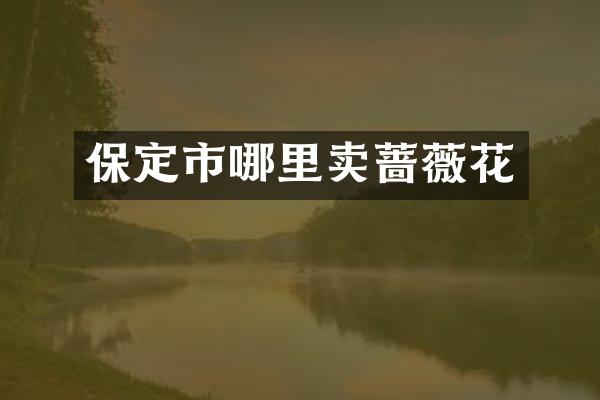保定市哪里卖蔷薇花