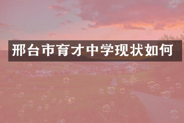 邢台市育才中学现状如何