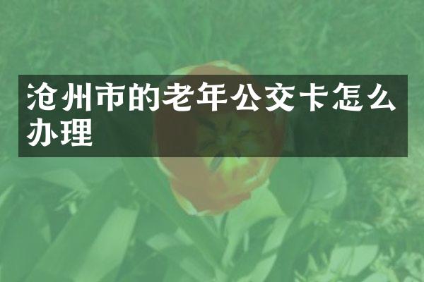 沧州市的老年公交卡怎么办理