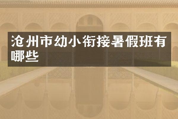 沧州市幼小衔接暑假班有哪些