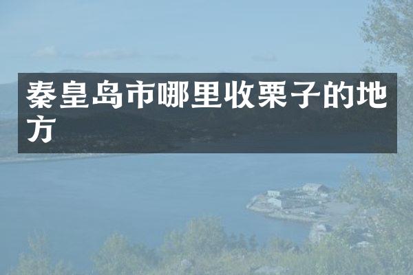 秦皇岛市哪里收栗子的地方