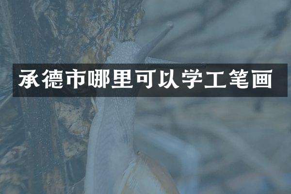 承德市哪里可以学工笔画