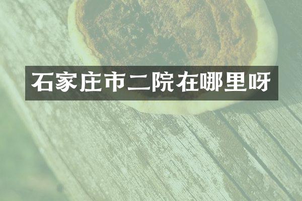 石家庄市二院在哪里呀