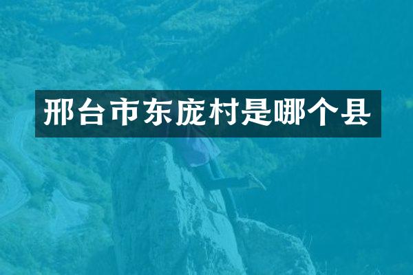 邢台市东庞村是哪个县
