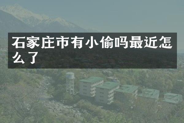 石家庄市有小偷吗最近怎么了