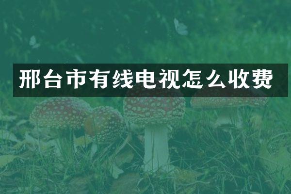 邢台市有线电视怎么收费