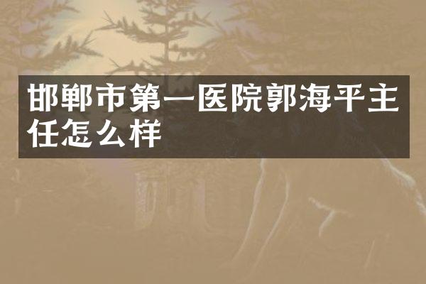 邯郸市第一医院郭海平主任怎么样