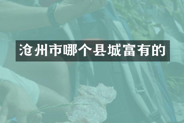 沧州市哪个县城富有的