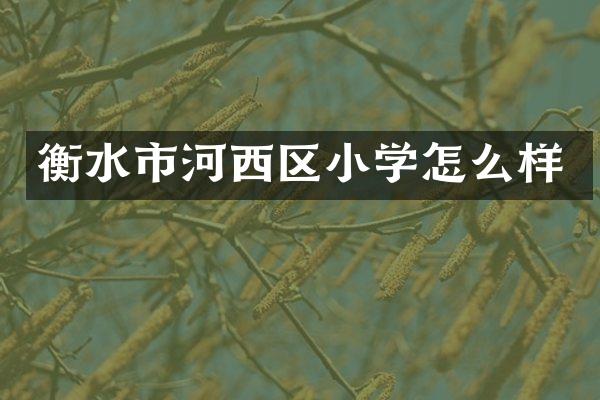 衡水市河西区小学怎么样