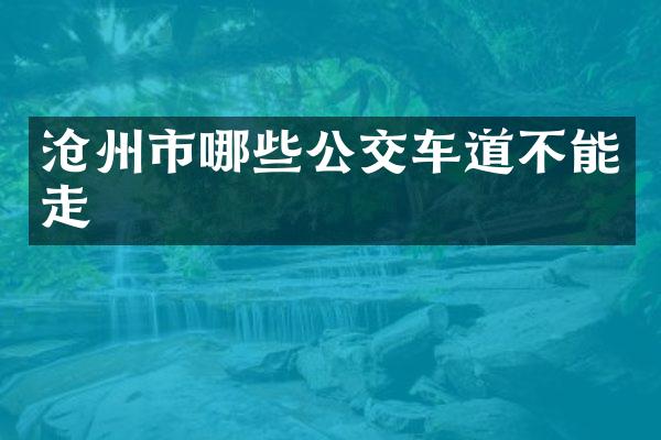 沧州市哪些公交车道不能走