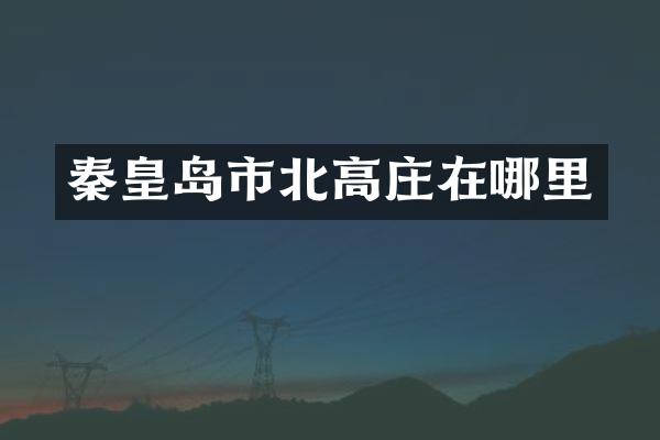 秦皇岛市北高庄在哪里
