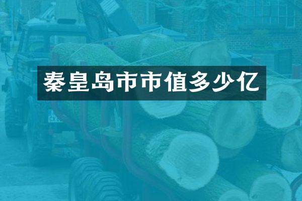 秦皇岛市市值多少亿