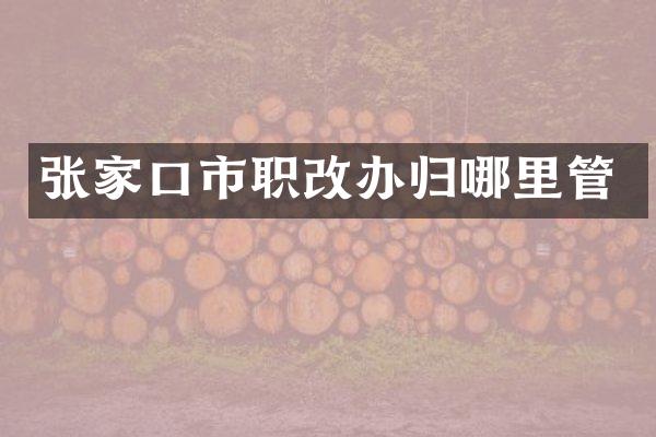 张家口市职改办归哪里管