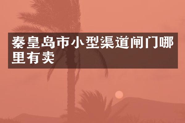 秦皇岛市小型渠道闸门哪里有卖